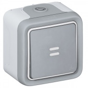 Кнопочный выключатель с подсветкой IP55 накладной монтаж Legrand Plexo серый